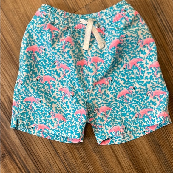 Chubbies Teal and Pink Flamingo Swim Shorts kids size 5 - Picture 5 of 8